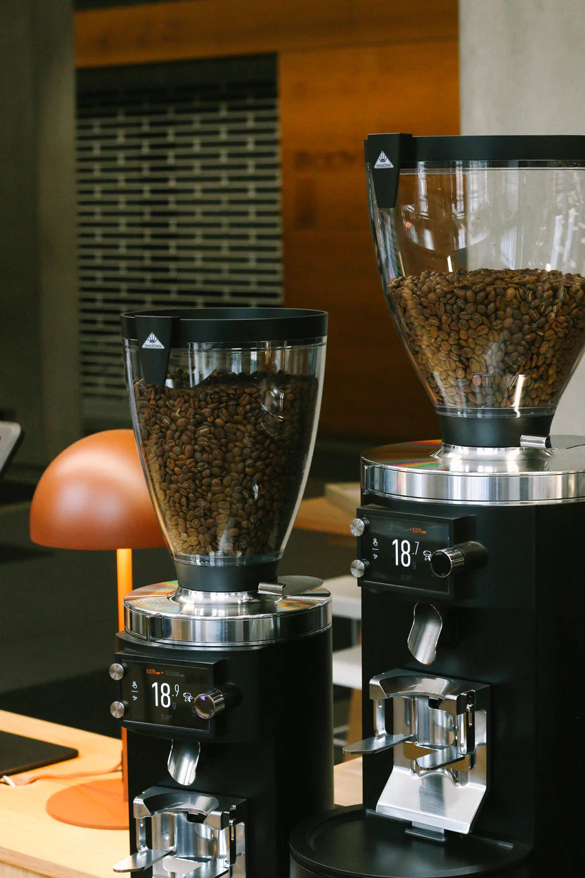 E65S GbW Espresso Grinder