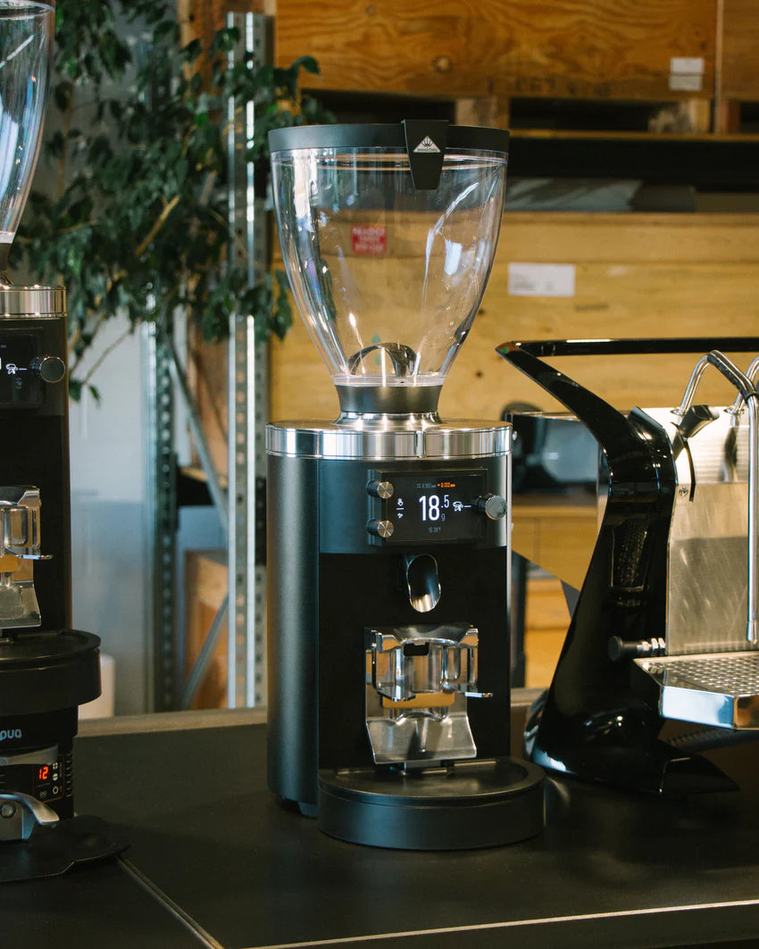 E80S GbW Espresso Grinder