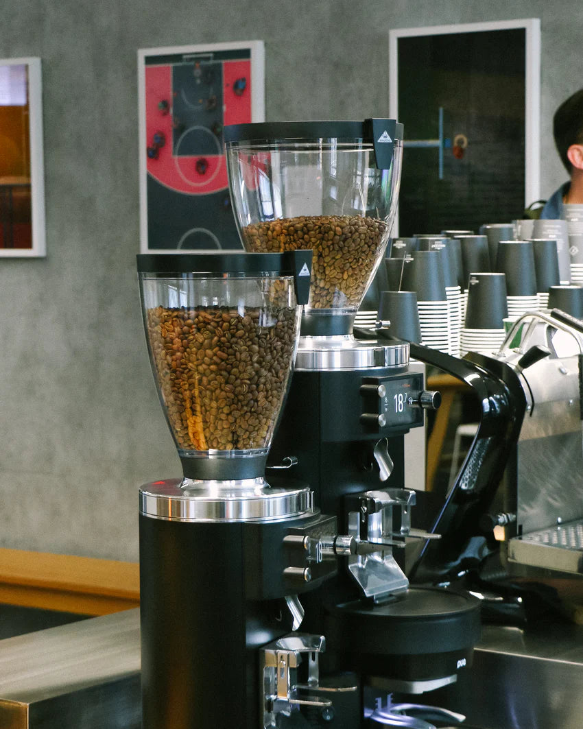 E80S GbW Espresso Grinder